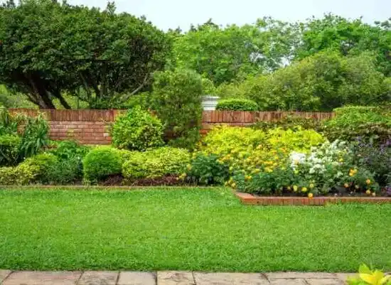 landscaping services Mount Airy